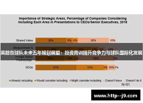 英超各球队未来五年规划展望：投资青训提升竞争力与球队国际化发展