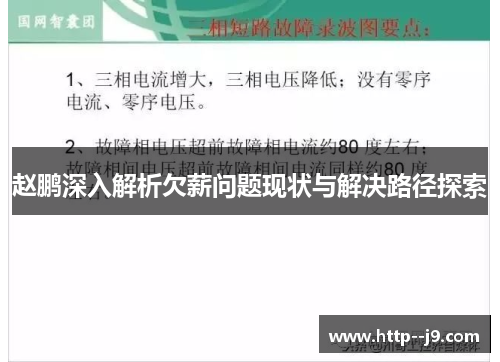 赵鹏深入解析欠薪问题现状与解决路径探索