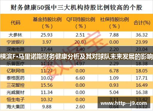 横滨F·马里诺斯财务健康分析及其对球队未来发展的影响 横滨F·马里诺斯财务健康分析及其对球队未来发展的影响