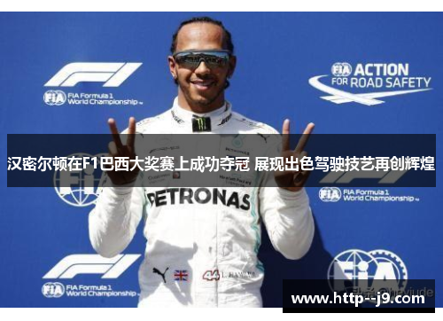 汉密尔顿在F1巴西大奖赛上成功夺冠 展现出色驾驶技艺再创辉煌