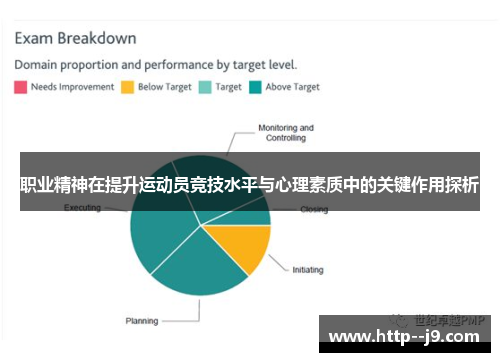 职业精神在提升运动员竞技水平与心理素质中的关键作用探析